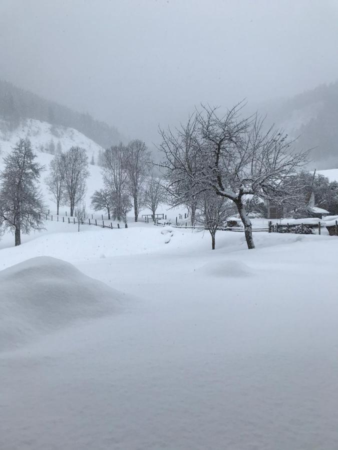 Bio Schartenhof Sankt Johann im Pongau Exterior foto