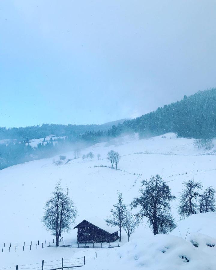 Bio Schartenhof Sankt Johann im Pongau Exterior foto