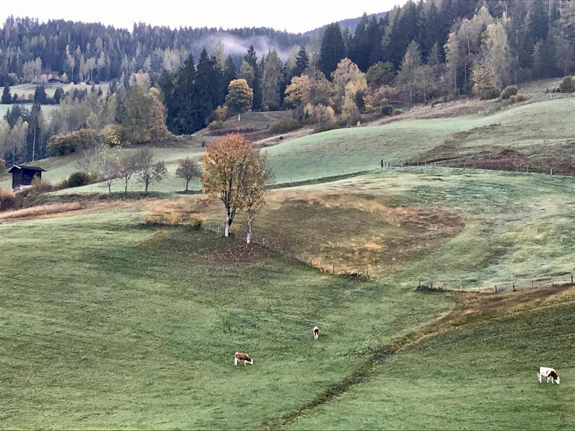 Bio Schartenhof Sankt Johann im Pongau Exterior foto